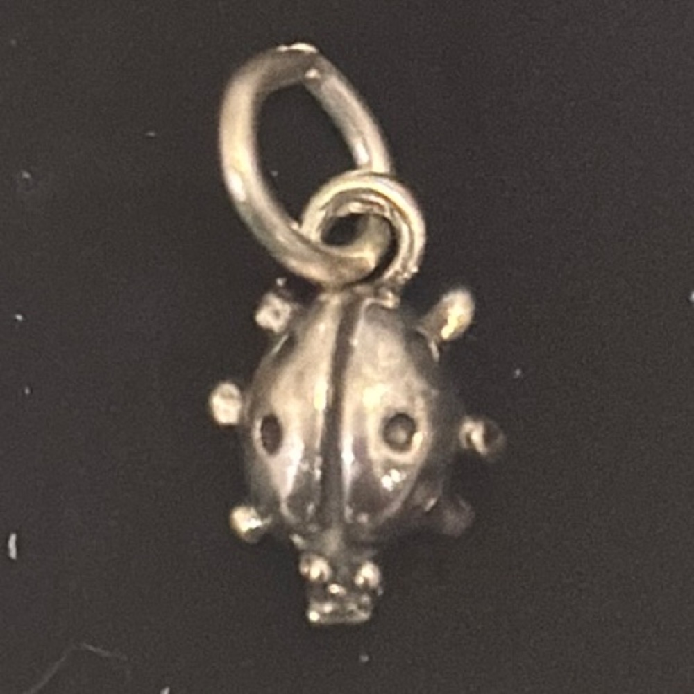 Sterling Silver Ladybug Charm Pendant